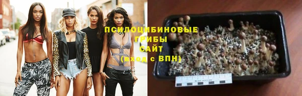 тгк Абаза