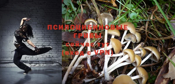 не бодяженный Ладушкин