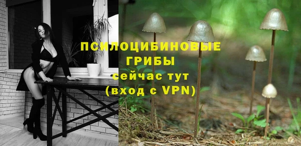 тгк Абаза