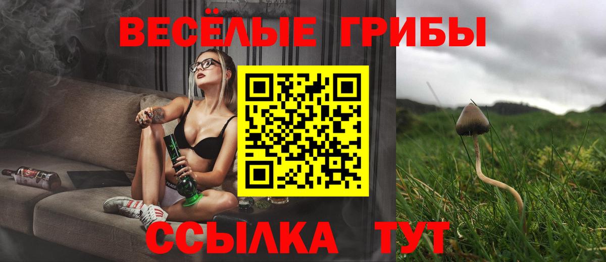 Псилоцибиновые грибы прущие грибы Норильск